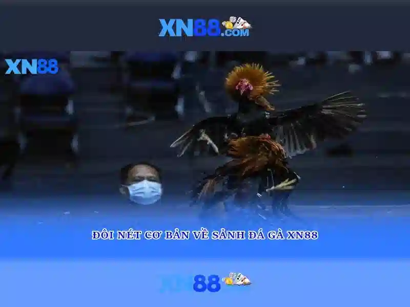 XN88 - Trải Nghiệm Slot Đỉnh Cao Với XN88 Com