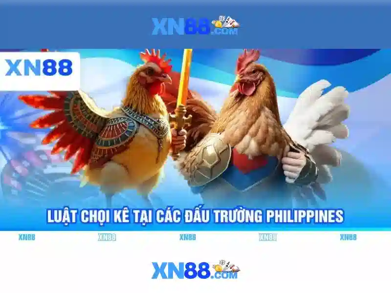 tai xn88