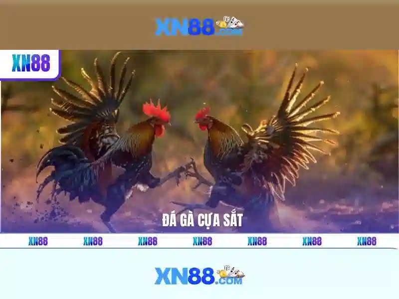 Đa Dạng Loại Hình Xổ Số