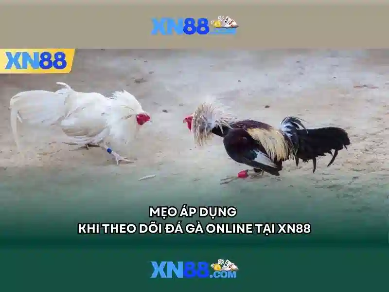 Nền tảng slot đa dạng