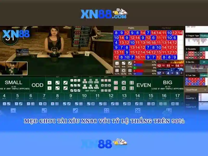 Hỗ Trợ Kỹ Thuật 24/7