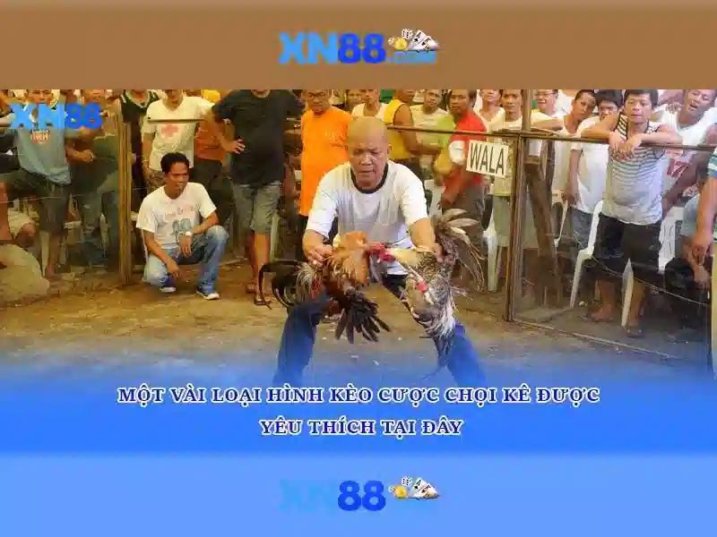 Ưu Đãi xn88 bshrf Độc Quyền
