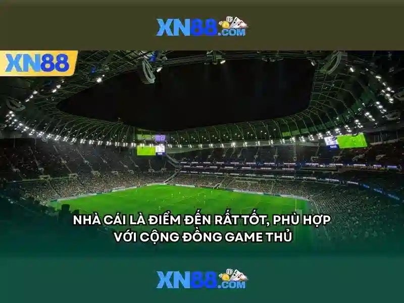 Điều Khoản Và Điều Kiện