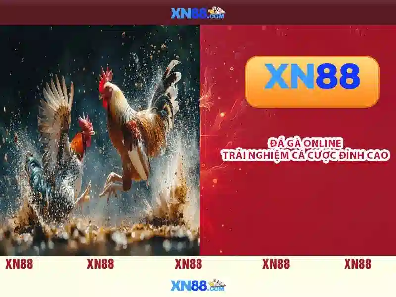 Giao diện ứng dụng XN88