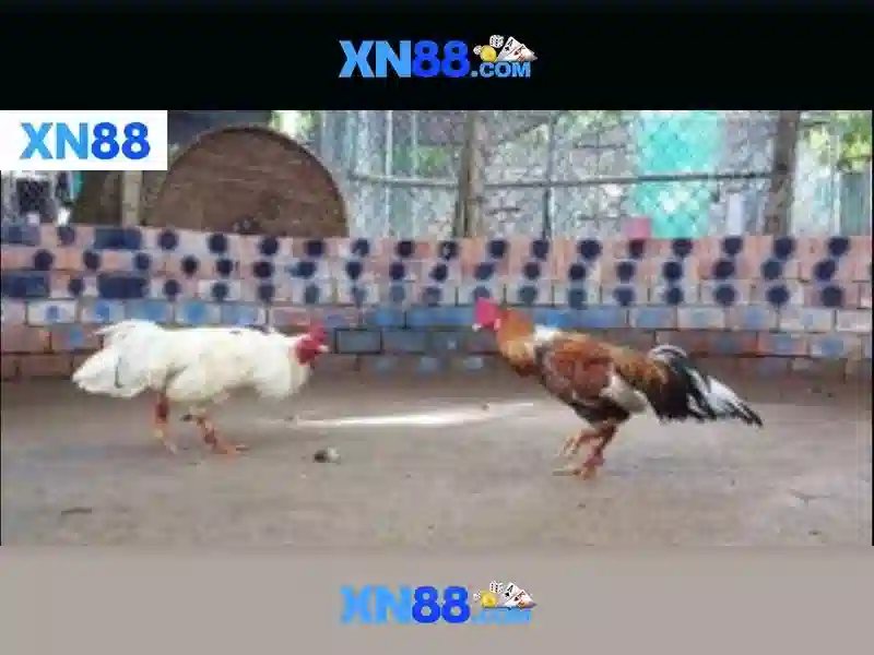 Tính năng nổi bật của XN88 slot