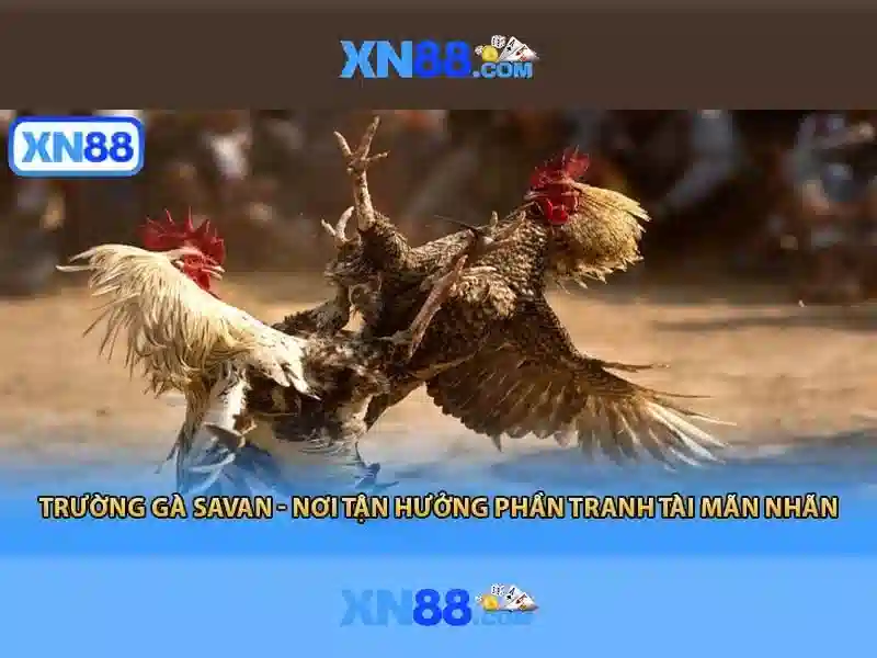 Trải Nghiệm Slot