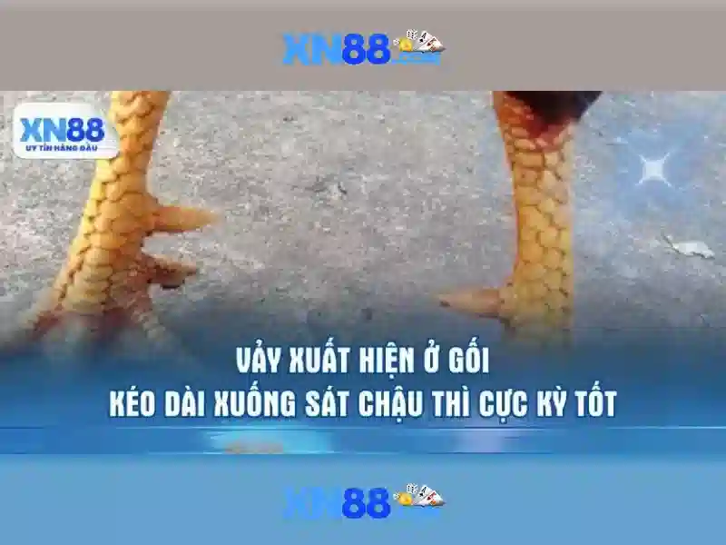 Ưu Điểm Bắn Cá XN88