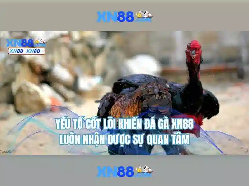CSKH XN88 - Hướng Dẫn Sử Dụng Dịch Vụ Hỗ Trợ Khách Hàng Slot