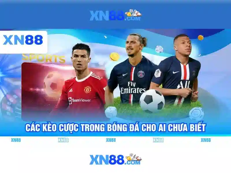 Khuyến Mãi Hấp Dẫn