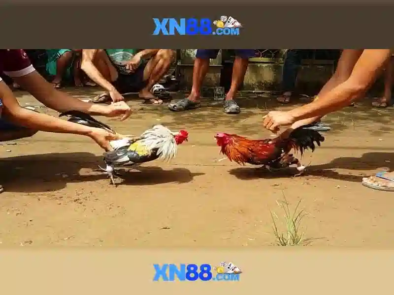Trải nghiệm Slot XN88