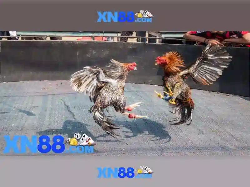 Tính Năng Thanh Toán Đa Dạng