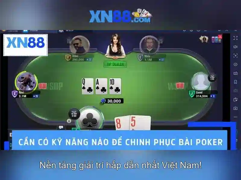 Trách Nhiệm Người Chơi
