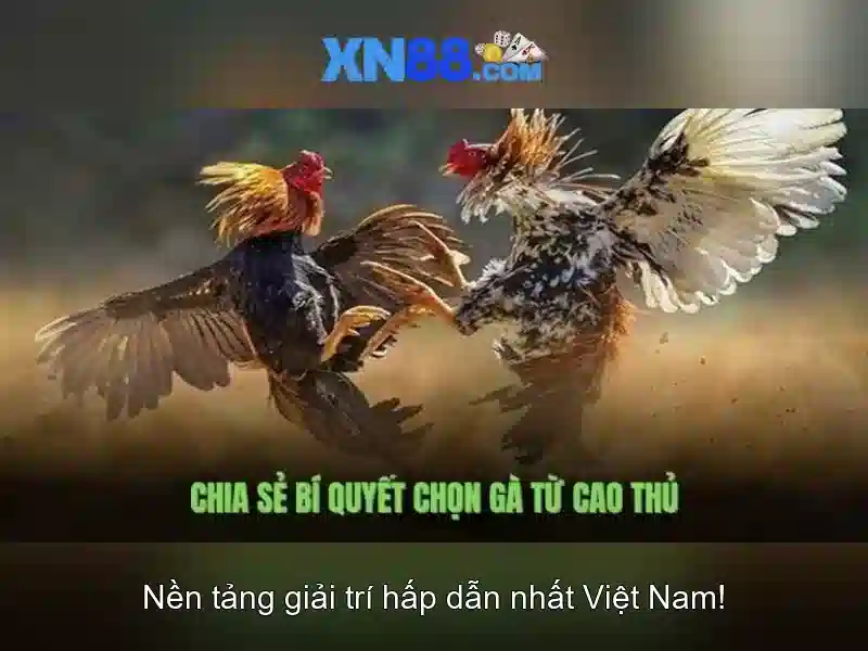 Trải Nghiệm Chơi Slot Tại XN88