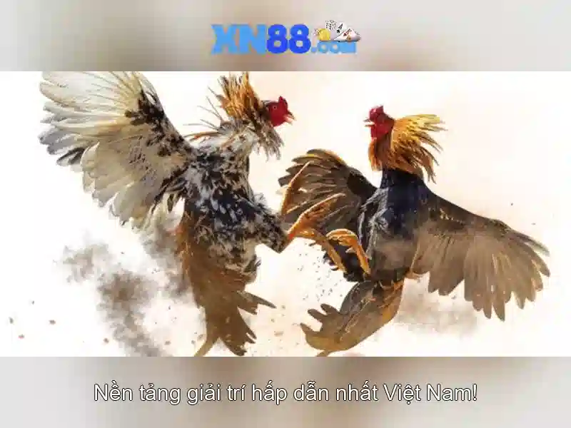 nền tảng slot uy tín XN88