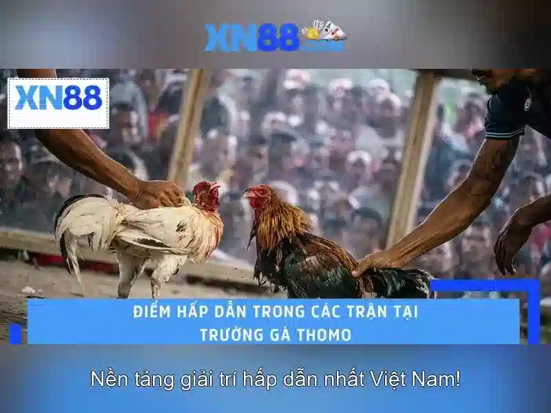 XN88 – Quyền và nghĩa vụ người chơi Slot 2026