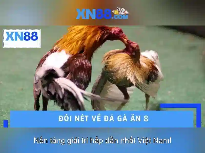 Hướng Dẫn Chi Tiết Trải Nghiệm Chơi Slot