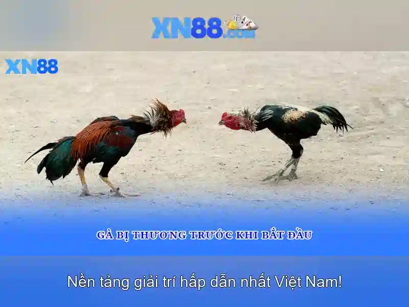 Trải Nghiệm Slot Trên XN88 Google Play