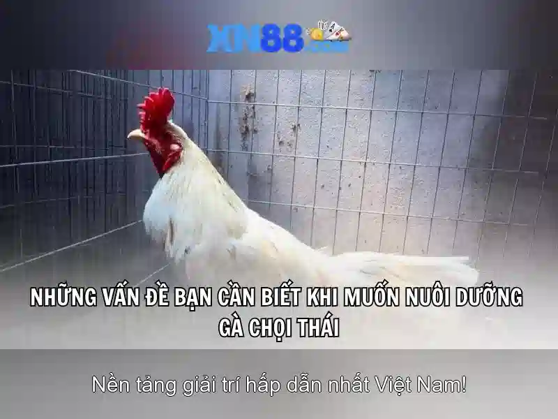 Trải nghiệm slot đỉnh cao