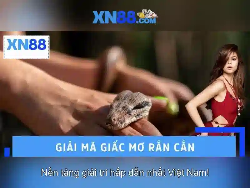 Trải Nghiệm Cá Cược Trực Tuyến Đa Dạng