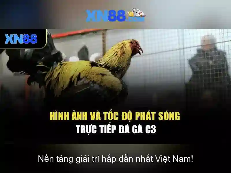 Tải XN88 và nhận ưu đãi