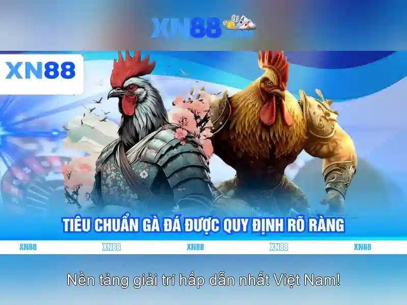 Đánh Giá Từ Người Chơi
