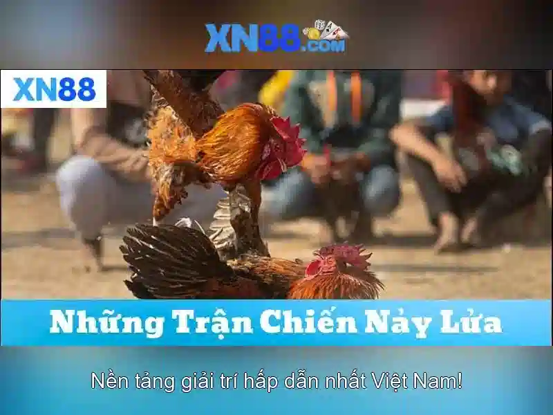 Tính năng độc quyền của XN88